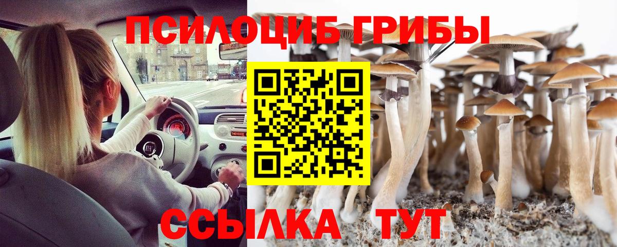 сколько стоит  Вход с VPN  Новокубанск  Псилоцибиновые грибы MAGIC MUSHROOMS 